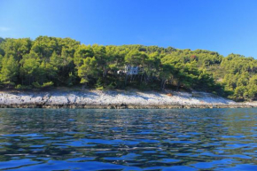 Secluded fisherman's cottage Cove Spiliska, Korcula - 9142